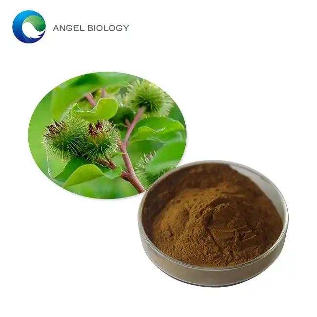 Sustainable Extraction Methods for Burdock Root Extract Powder